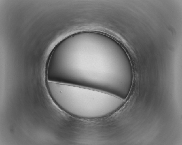 X0000111371512200907101007