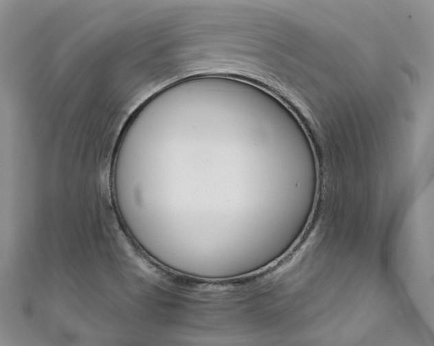 X0000111371513200907101007