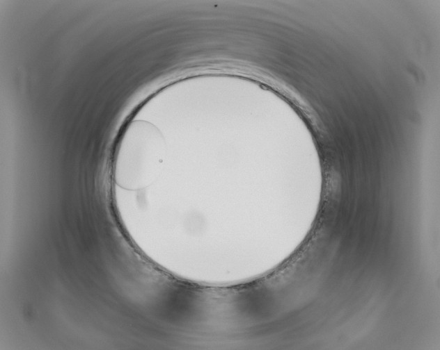 X0000111371514200907101007