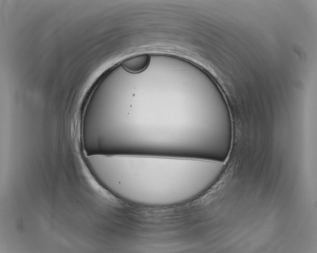X0000111371515200907101007
