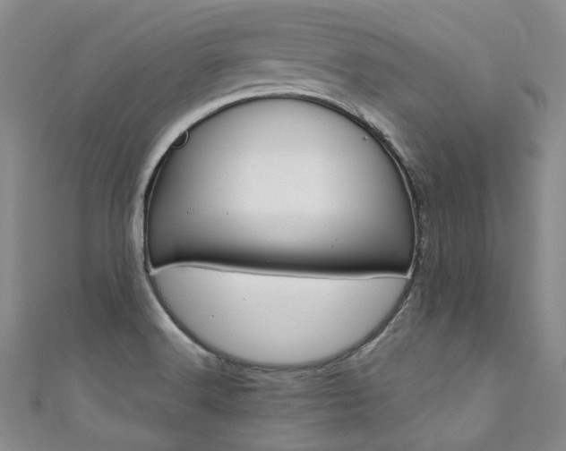X0000111371516200907101007
