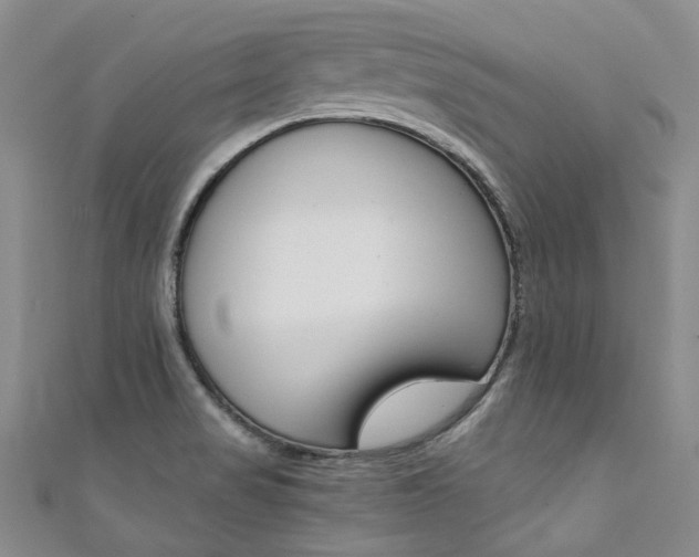 X0000111371517200907101007