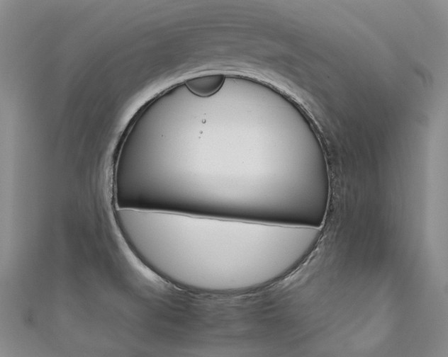 X0000111371519200907101007