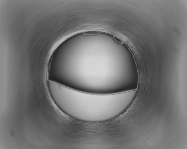 X0000111371520200907101007
