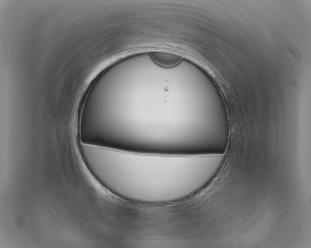 X0000111371523200907101007