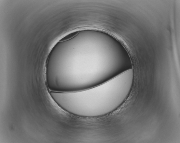 X0000111371524200907101007
