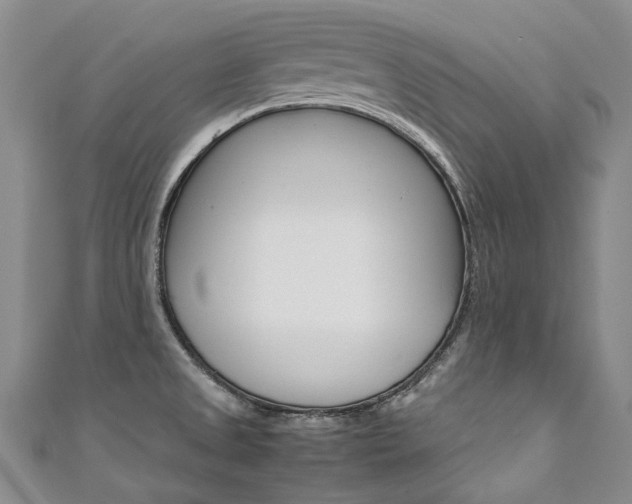X0000111371525200907101007