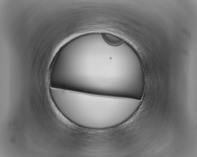 X0000111371526200907101007