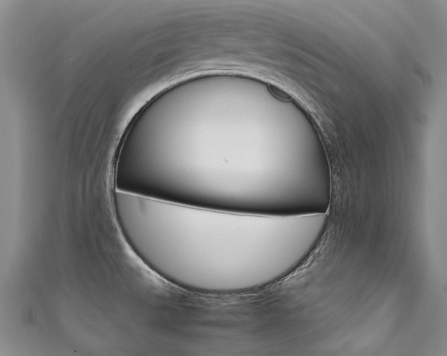 X0000111371527200907101007