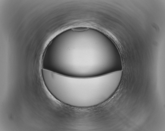 X0000111371528200907101007