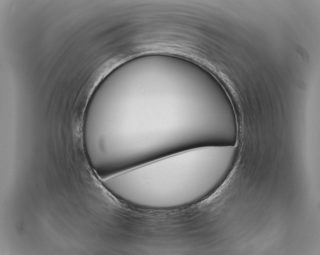 X0000111371529200907101007