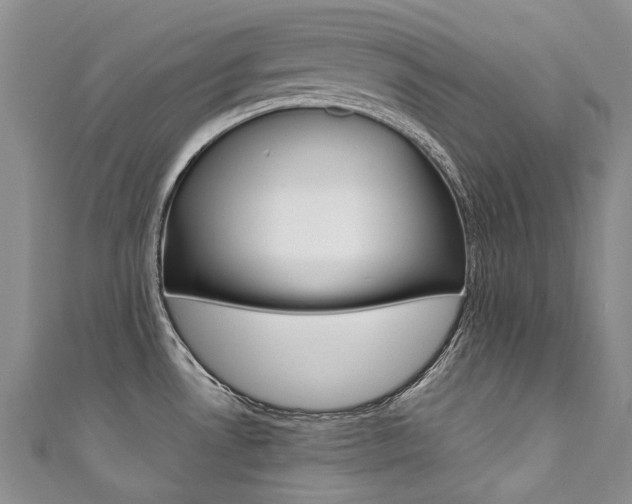 X0000111371530200907101007