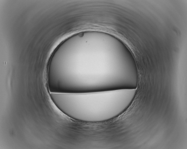 X0000111371531200907101007