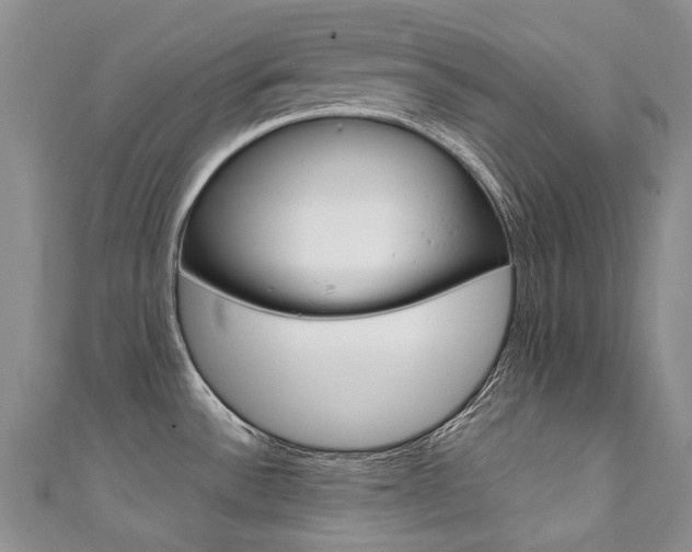 X0000111371532200907101007