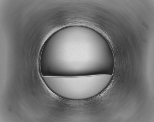 X0000111371533200907101007