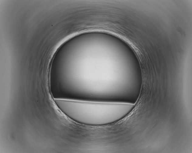 X0000111371534200907101007