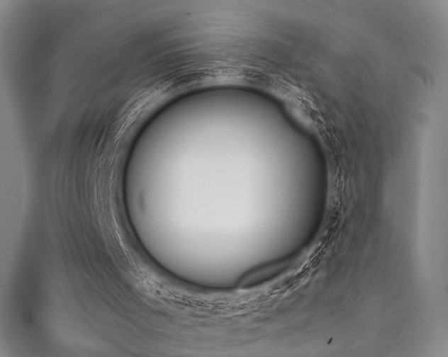 X0000111370001200907101221