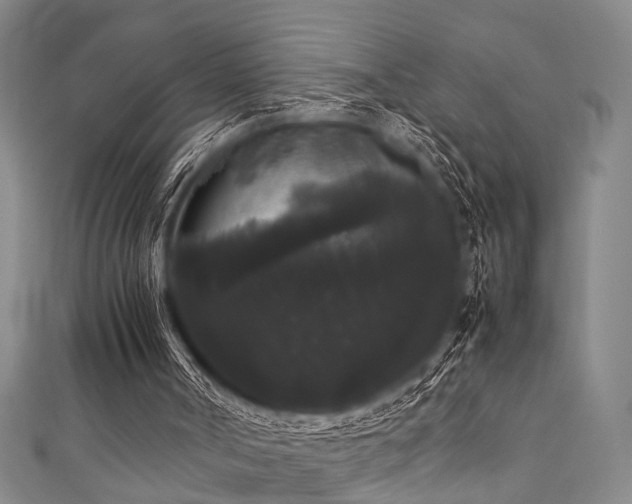 X0000111370002200907101221