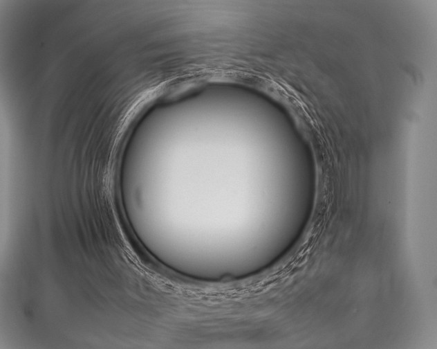 X0000111370003200907101221