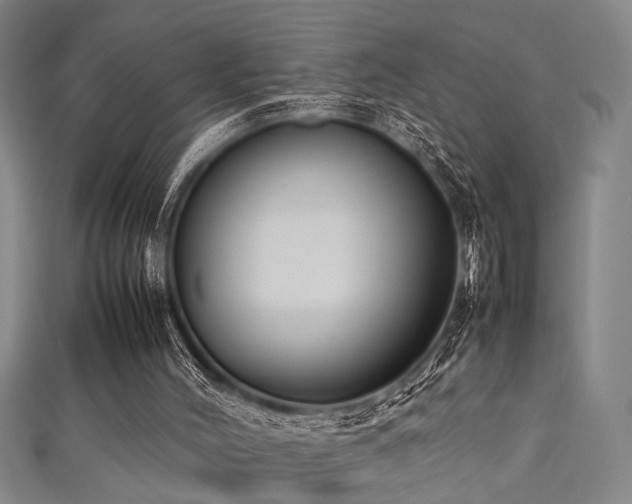 X0000111370004200907101221