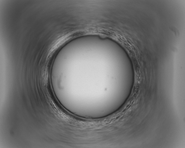 X0000111370005200907101221