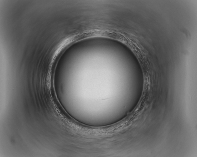 X0000111370006200907101221