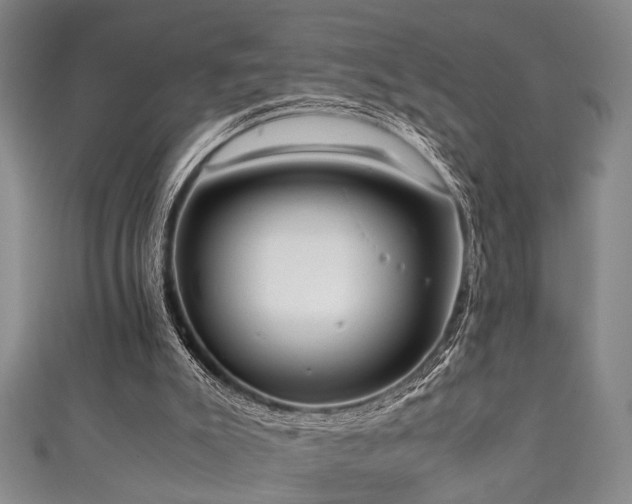 X0000111370007200907101221