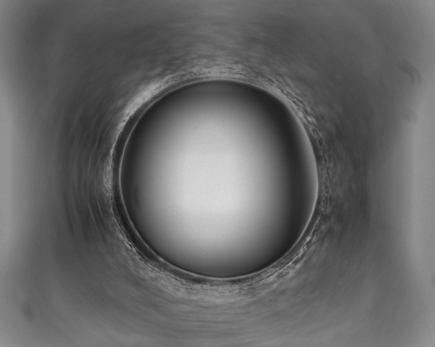 X0000111370008200907101221