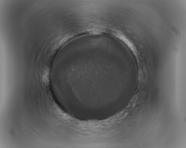 X0000111370009200907101221