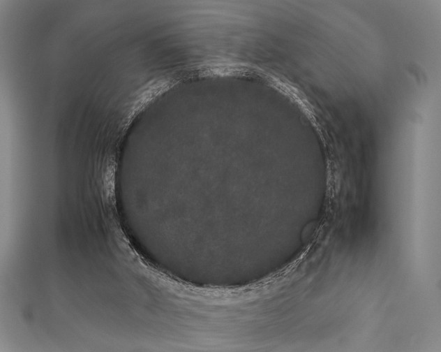 X0000111370010200907101221