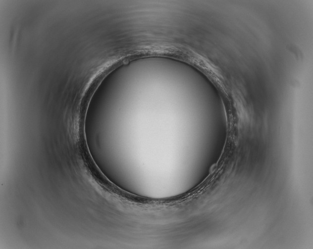 X0000111370012200907101220