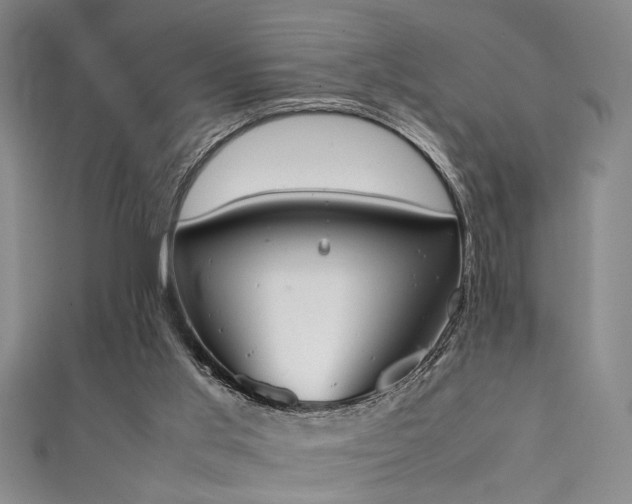 X0000111370013200907101220