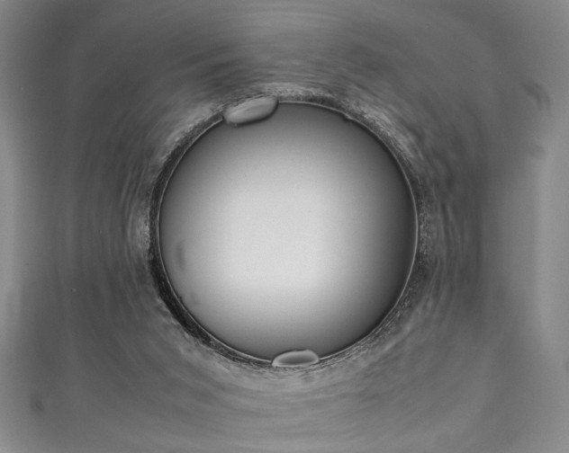 X0000111370015200907101220