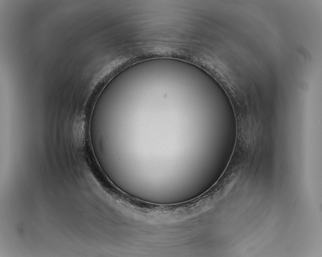 X0000111370016200907101220