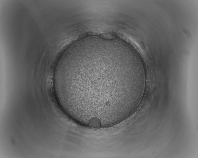 X0000111370017200907101220