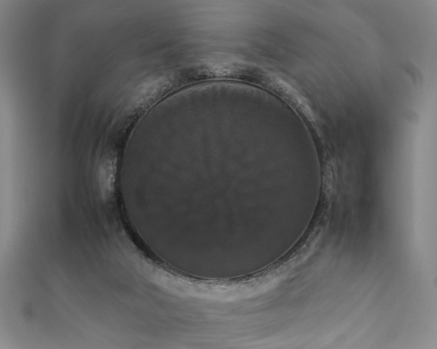 X0000111370018200907101220