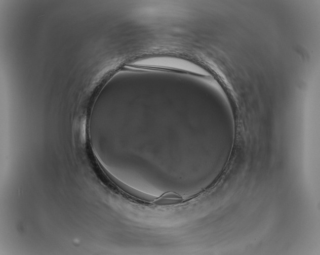 X0000111370019200907101220