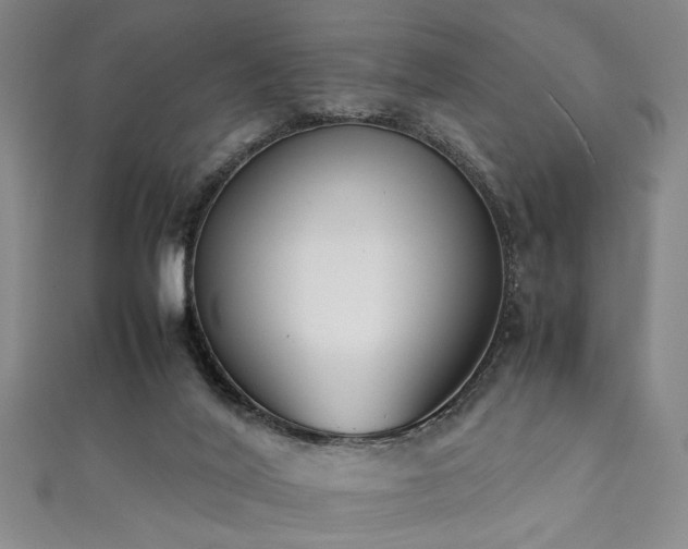 X0000111370020200907101220