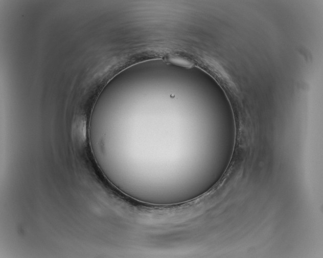 X0000111370021200907101220