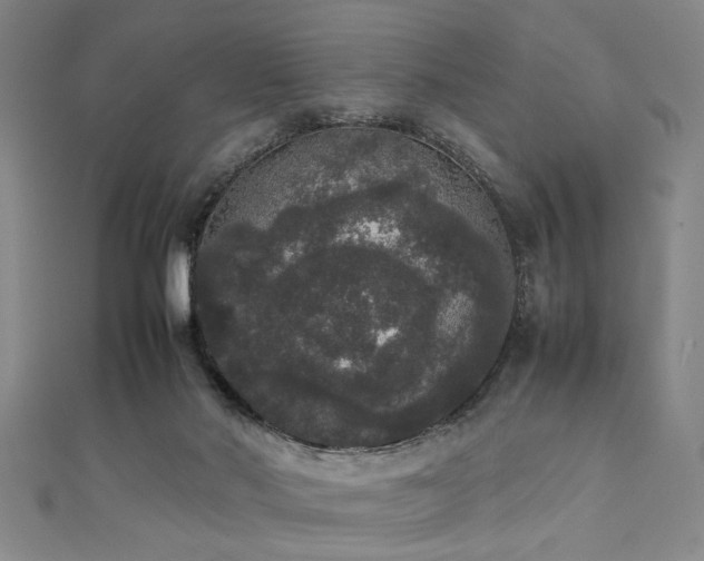 X0000111370022200907101220