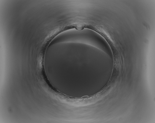 X0000111370023200907101220