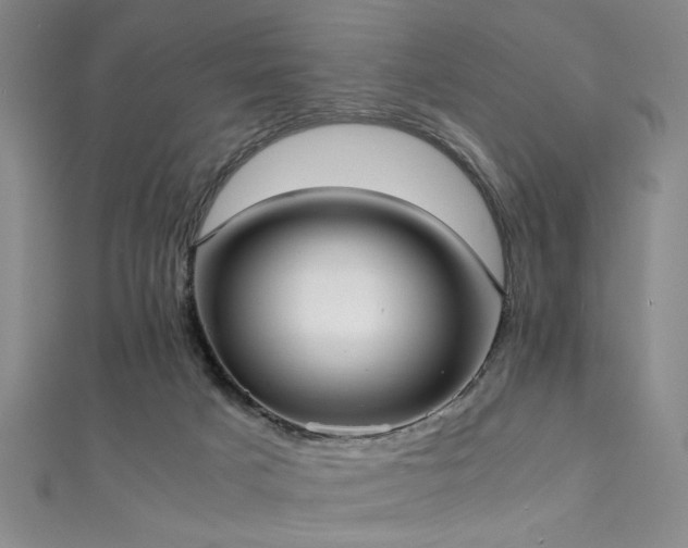 X0000111370025200907101220