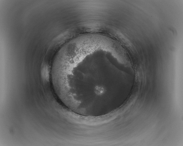 X0000111370026200907101220