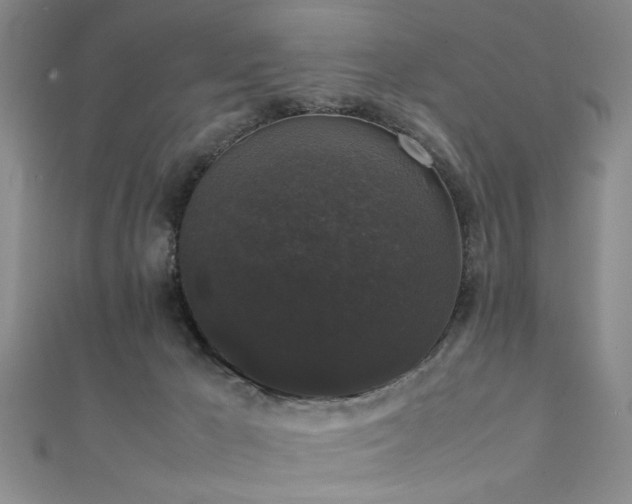 X0000111370029200907101220