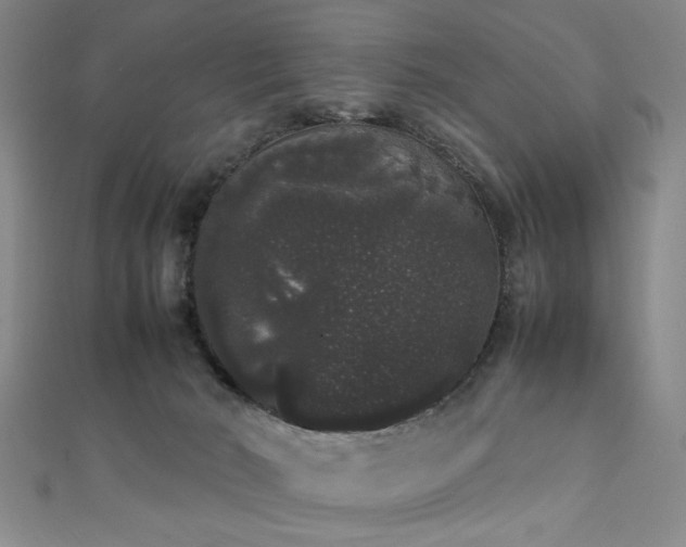 X0000111370030200907101220