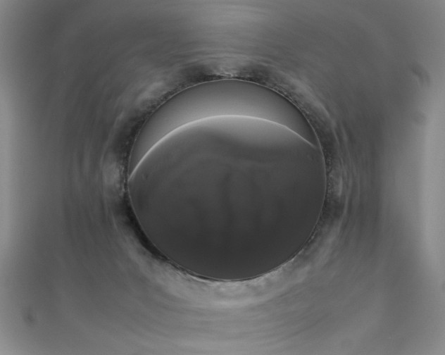 X0000111370031200907101220