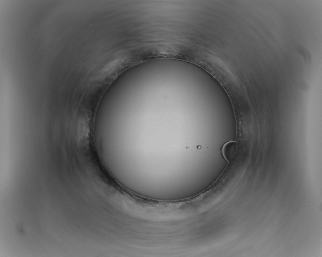 X0000111370032200907101220