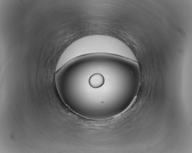 X0000111370033200907101220