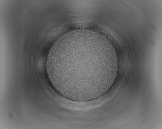 X0000111370034200907101220