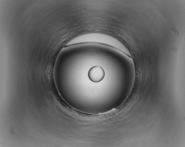 X0000111370036200907101220